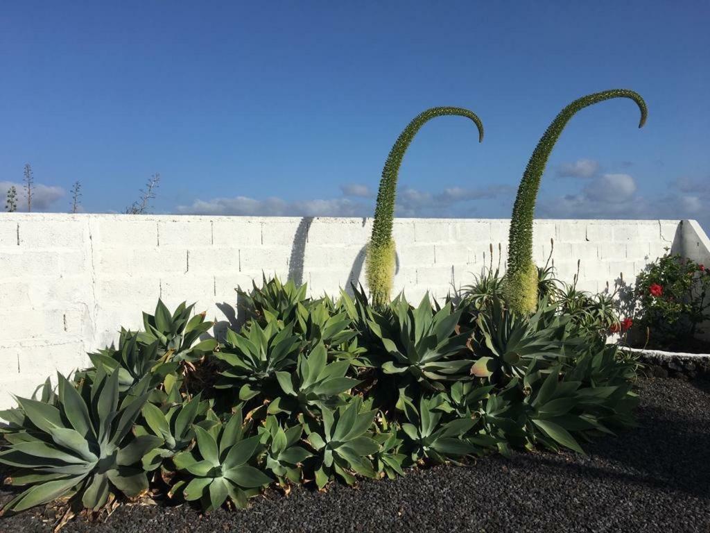 Malpaíses Villa Playa La Salemera - La Palma المظهر الخارجي الصورة